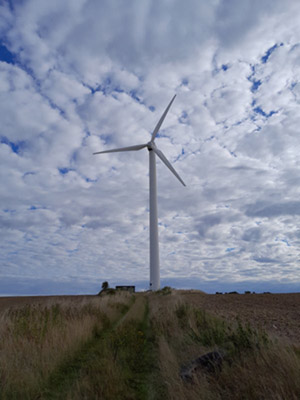 Bis 2025 will Develey ausschließlich auf eigenproduzierten Grünstrom zurückgreifen. Windkraft-Patenschaften sollen auf dem Weg dorthin als Übergangslösung funktionieren. Foto: Develey